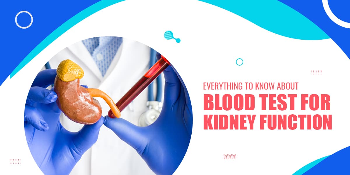 Everything to Know About Blood Test for Kidney Function