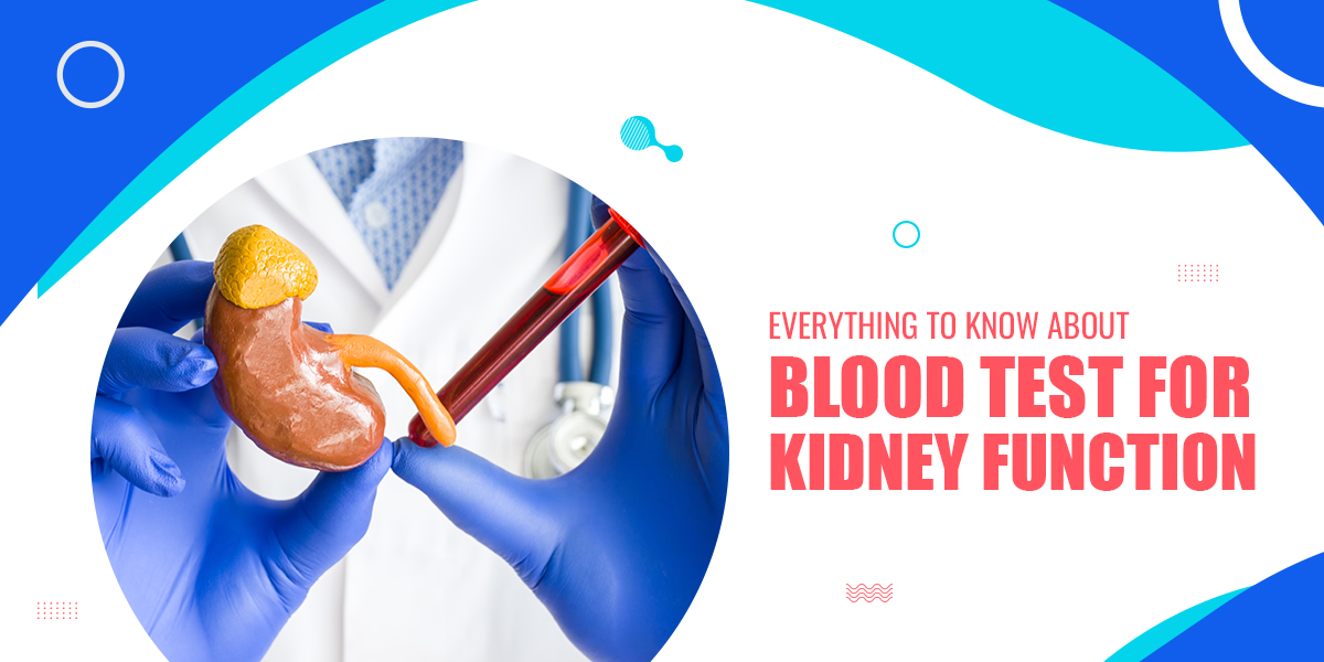 Everything to Know about Blood Test for Kidney Function